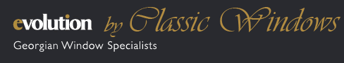 evolution logo